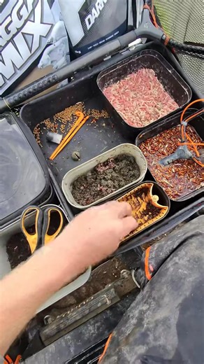 EVER TRIED THE WORM BOMB? 🪱💣 A great way of catching a load of fish this time of year is by fishing a WORM BOMB! A ground bait ball laced with finely ch openers can catch you a serious amount of fish really quickly! . A tactic Matt Godfrey uses to great effect when fishing in silverfish matches, here’s how he does it… | Tackle Guru