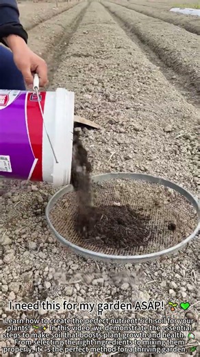 Perfecting Soil for Plants! 🌱✨