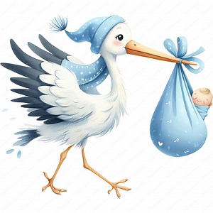 Stork Baby Boy Clipart Bundle | Baby Shower Art (digital Download) - Etsy