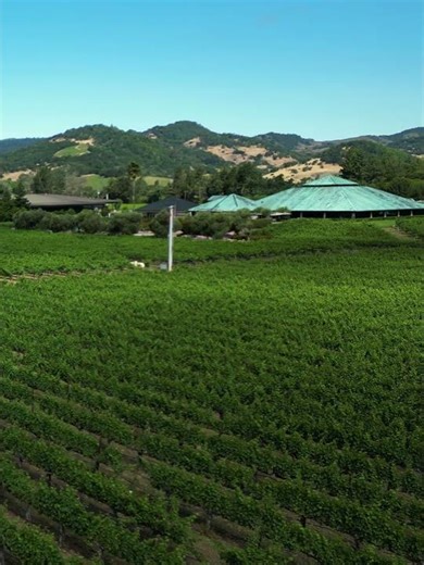 Breathtaking 4k Drone Trip Over California's Wine Country