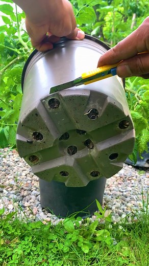 9.5M views · 51K reactions | They're free and why not reuse them again and again. #gardeningtips #gardenhacks #gardeningideas #hacks #tipsandtricks | Plantedinthegarden | Facebook