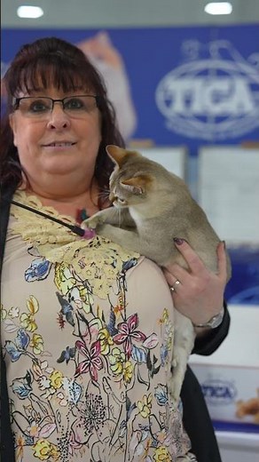 The tiniest cat breed in the world! #cat #ticacats