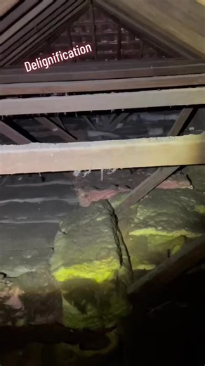 Understanding Delignification in Building Structures