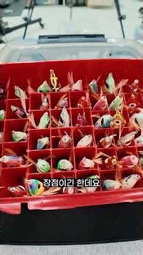 요즘 저는 쭈꾸미 에기 이렇게 들고 다닙니다