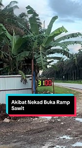 Ramp Sawit: Apa Itu dan Risiko Buka Ramp Sawit Sendiri