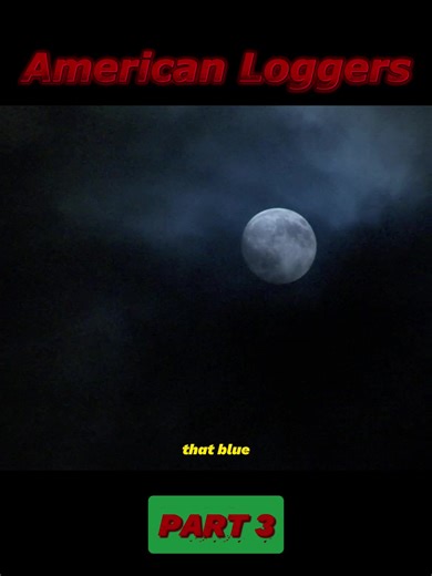 Exploring Logging Life with Heavy Machinery