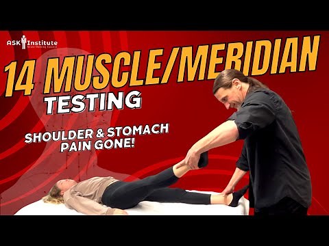 MUSCLE TESTING - 14 Meridians - Stomach & Shoulder Pain GONE!