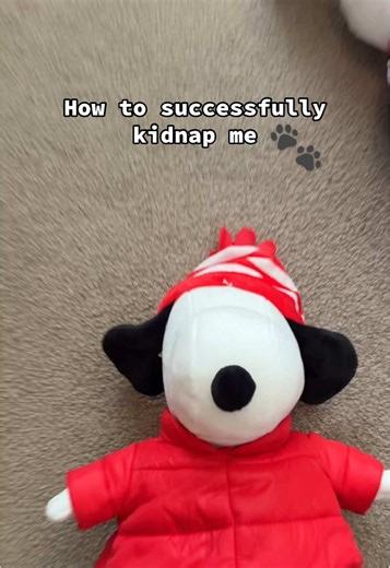 Snoopy Lover on TikTok