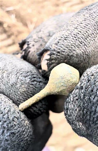 Saxon Relic Recovered! #minelab #metaldetecting #manticore #saxon