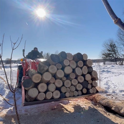 Hauling Firewood Rounds with the New Kubota Makes things a lot Easier #firewood #kubota #tractor
