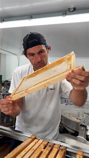 How To Uncap Honey Frames With A Fork