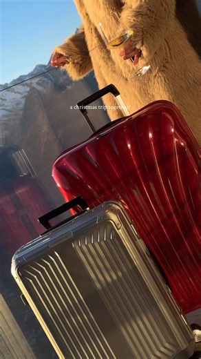SAMSONITE on Instagram: "a christmas holiday anyone? #travelisagift"