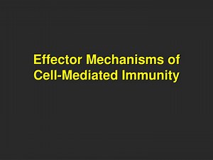Effector Mechanisms of Cell-Mediated Immunity - SlideServe