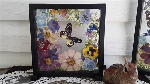 Framed Real Butterfly & Pressed Flower Display: 7x7 Summer Garden Art - Etsy
