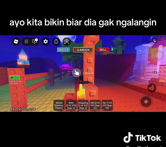 makanya kalo punya buah jangan ngalangin kebun orang 😡 #growagarden #roblox