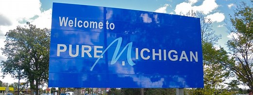 Pest Control Michigan - Pronto Pest Management