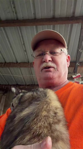 John Sutton Jr (@johnsuttonjrll)’s videos with original sound - John Sutton Jr