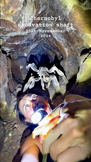 Nuclear SPIDER emerges inside a closed-off Chernobyl excavation shaft #spider #creepy #chernobyl