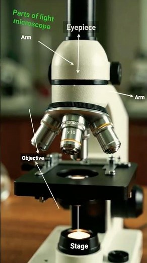 parts of light microscope