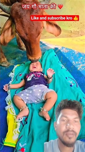गौमाता और बच्चे का प्यार 💕! Holy Mother Cow#shorts#Gaumata#funny