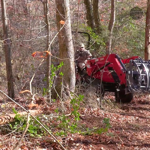 Clearing a TRAIL on Our Property Line #TractorWork #Mulcher #TractorLife #Trail TYM North America | Tony's Tractor Adventure Homestead