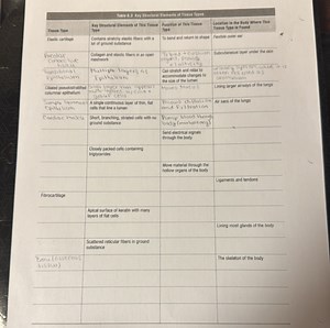 The user has provided an image of a table titled "Table 6.3 Key... | Filo