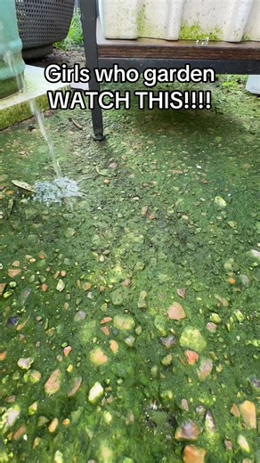 Get Ready for Summer BBQs and Fun Activities!