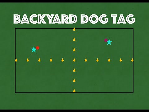 Backyard Dog Tag - Primary P.E. Game
