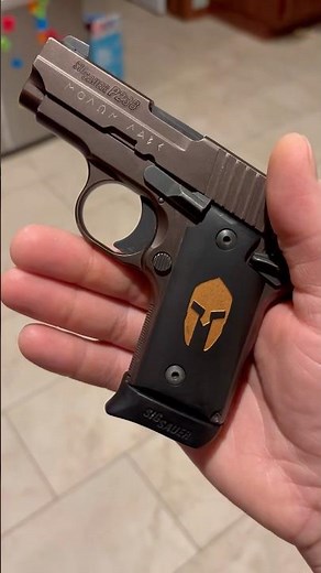 This Pocket Pistol Is A TANK - P238 Spartan