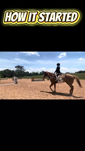 How does it start! #2020 #progress #improve #equestrian #startedfromthebottomnowwehere #ride #horse