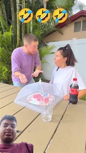 Flie attack my Cake 🍰 #flie #fly #attack #cake #shorts #shortsfeed #ytshorts #comedy #greenscreen