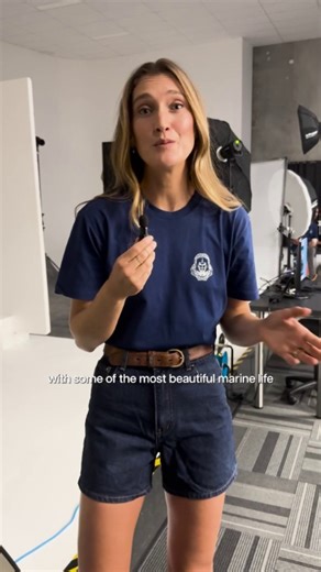 7.8K views · 46 reactions | Here's exactly what to expect from Shipwreck Hunters Australia season 2. Dive into a new season streaming August 27 exclusively on Disney+. | Disney+ | Facebook