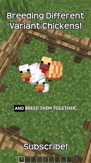 What Happens When You Breed Different Variant Chickens In Minecraft?!