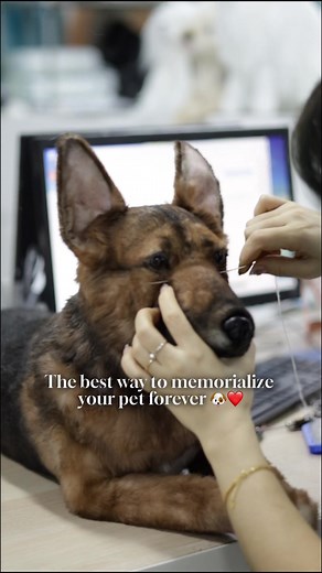 27K views · 333 reactions | At Cuddle Clones, we create custom...