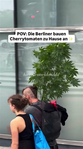 Pov :- Die Berliner bauen cherrytomaten zu Hause an 🇩🇪 B1-B2