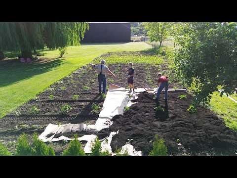 7 Months of Successful Gardening in 7 Minutes