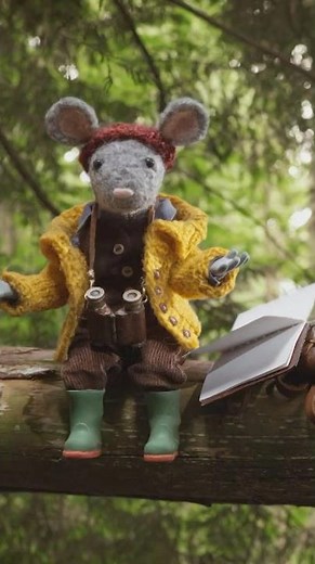 Learning a little about bees! 🐝