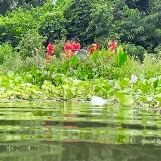 FISH TRAPPING TECHNIQUES LADIES FISH HUNTING Village Super CookingVillage Super Cooking | Wirally Food - தமிழ்