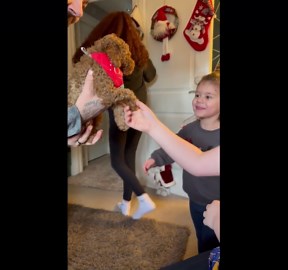 Boy Has Emotional Reaction to Puppy Surprise