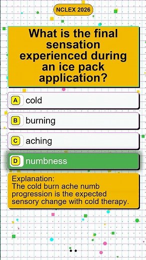 Nurseslabs Com NCLEX Questions and Nursing NCLEX Practice Questions Professional Review Guide 2026