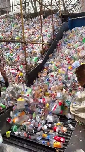 Plastic Bottle Sorting and Recycling Process