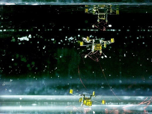 Aerial-Aquatic Microrobot