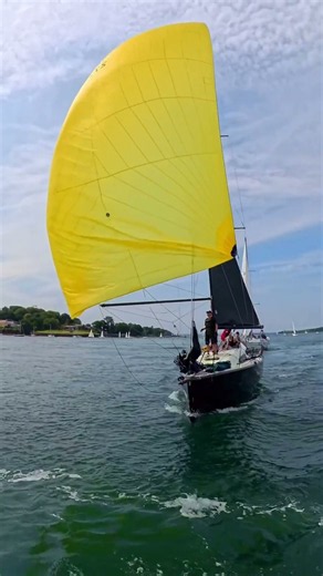 Watch This Fleet MOVE Downwind 🌊 #sailing #shorts #racing