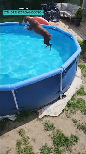 Are You Ready To Get Out