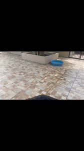 La mejor diversión está en #hotelcamisoclub Inf. 6623615083 | Camiso Club de Adiestramiento Canino