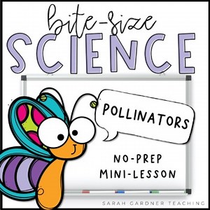 Pollinators & Pollination | Spring Science | 1st & 2nd Grade Lesson Slides