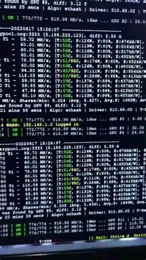 HiveOS API DOWN = Watchdog reiniciando a Rig A TOA 🤦🏻‍♂️