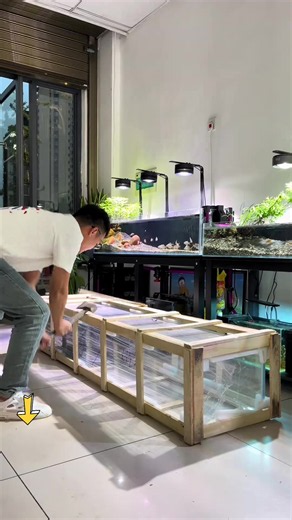 Chỉ 1 phút xem trọn quá trình mở bể suối 1m8, từ lúc setup đến khi hoàn thiện nhìn cực kỳ cuốn 🐟🌿 #becasuoi #becathuysinh #beca #aquarium #taocanhbeca
