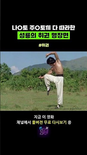 나O토 주O토끼 다 따라한 성룡의 취권 명장면 #영화 #추천 #무료영화 #취권 #DrunkenMaster #성룡 #원소전