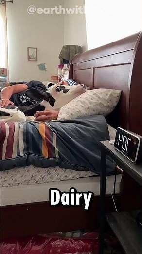 What Actually Happened to Waterbeds? ​🤔🛏️